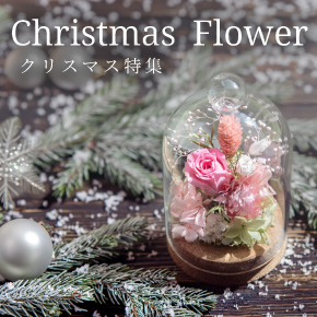 クリスマス特集
