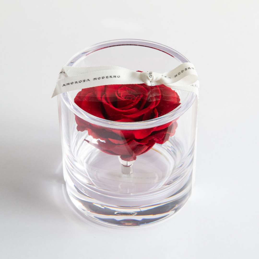 ブリリアント（Ｓ）レッド