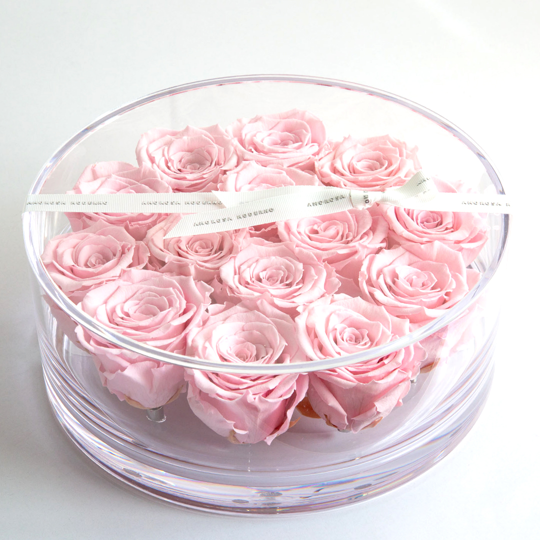 ブリリアント（Ｌ）ピンク