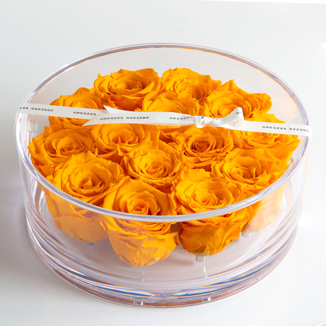 ブリリアント（Ｌ）オレンジ