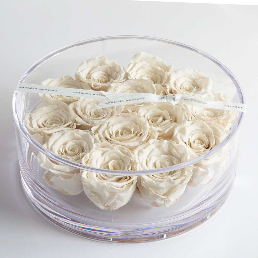 ブリリアント（Ｌ）ホワイト