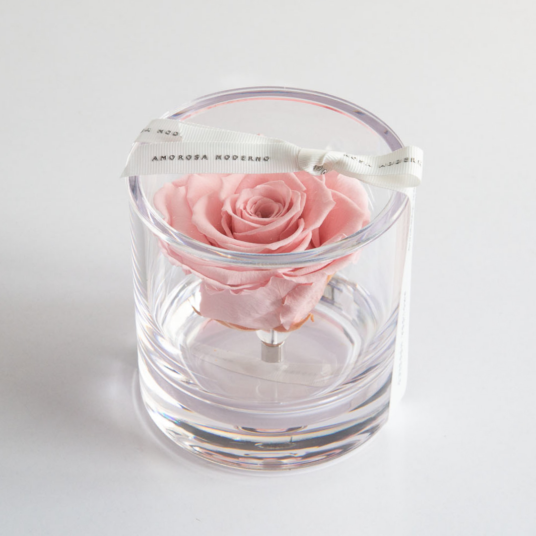 ブリリアント（Ｓ）ピンク