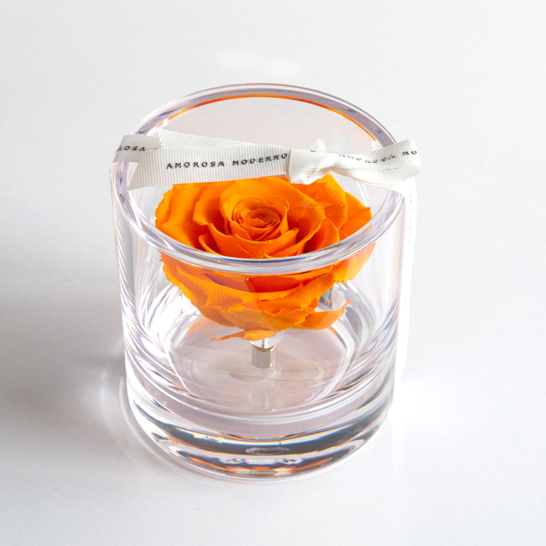 ブリリアント（Ｓ）オレンジ