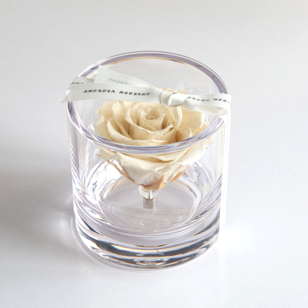 ブリリアント（Ｓ）ホワイト