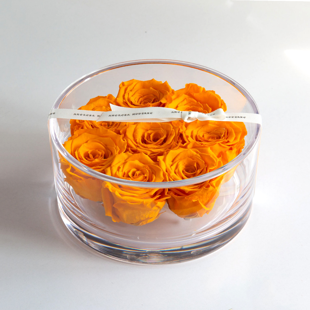 ブリリアント（Ｍ）オレンジ