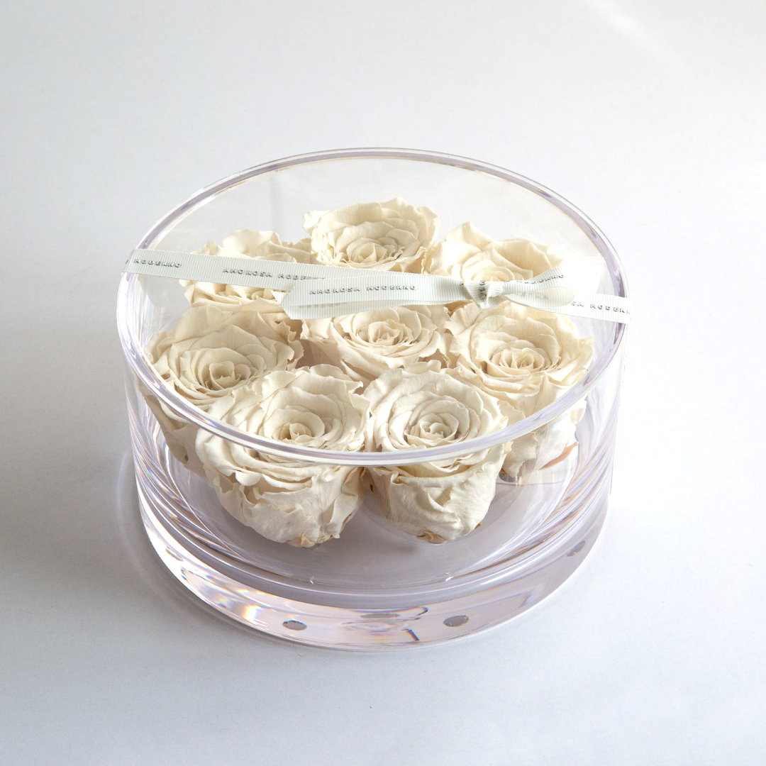 ブリリアント（Ｍ）ホワイト