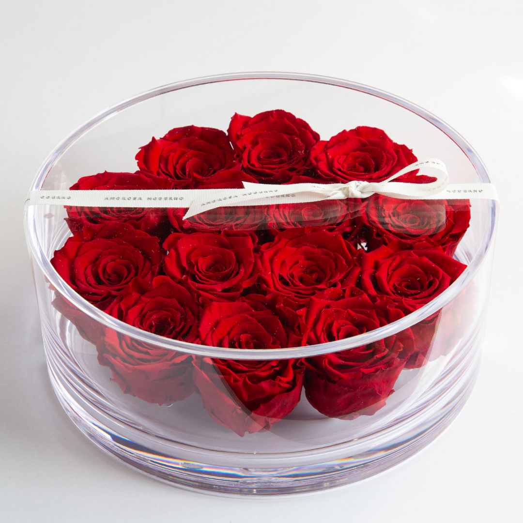 ブリリアント（Ｌ）レッド