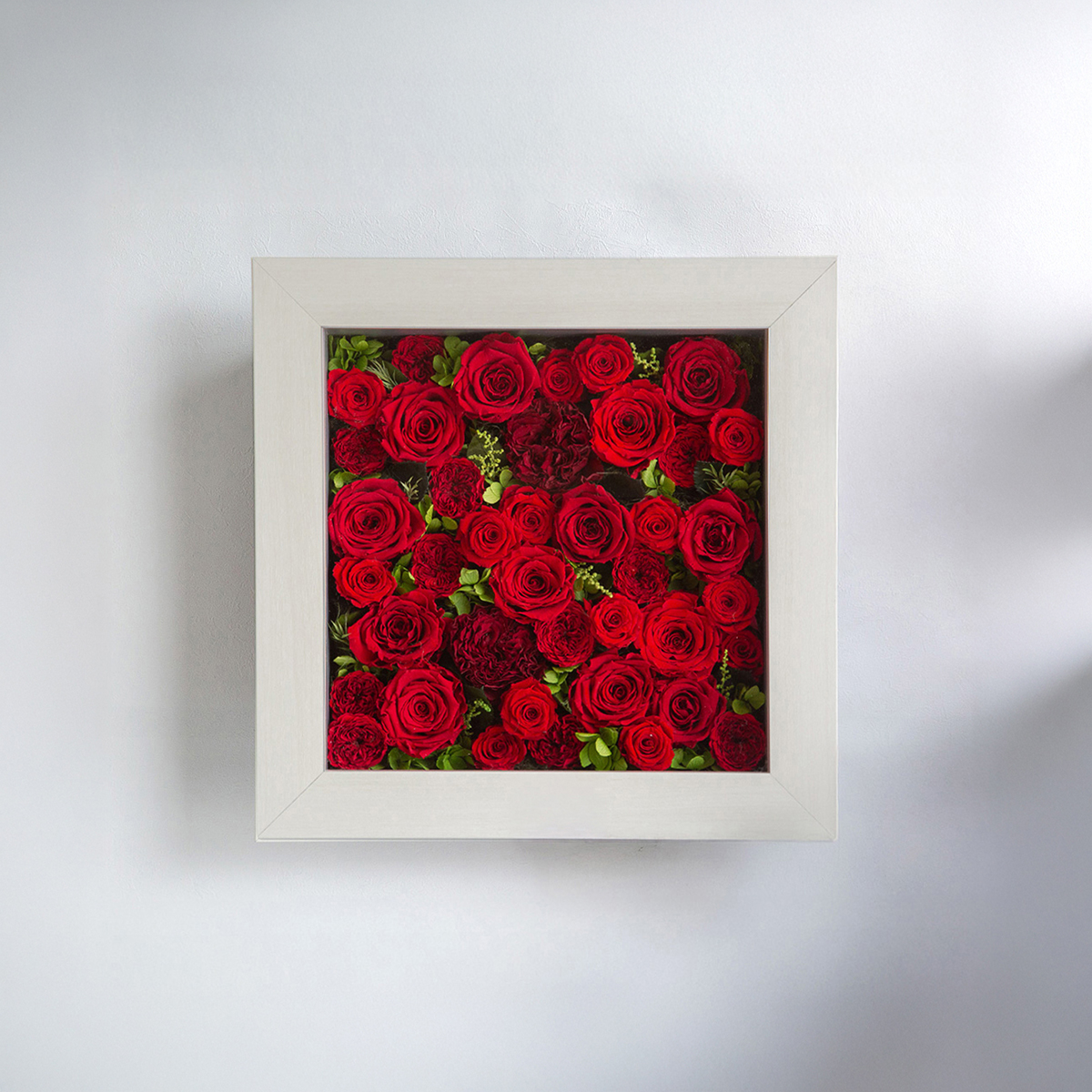 パナッシュ37-37 （レッド40本）