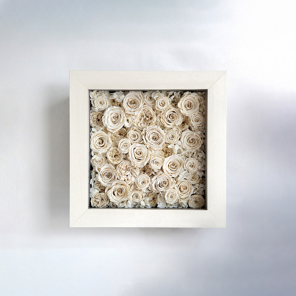 パナッシュ37-37 （ホワイト40本）