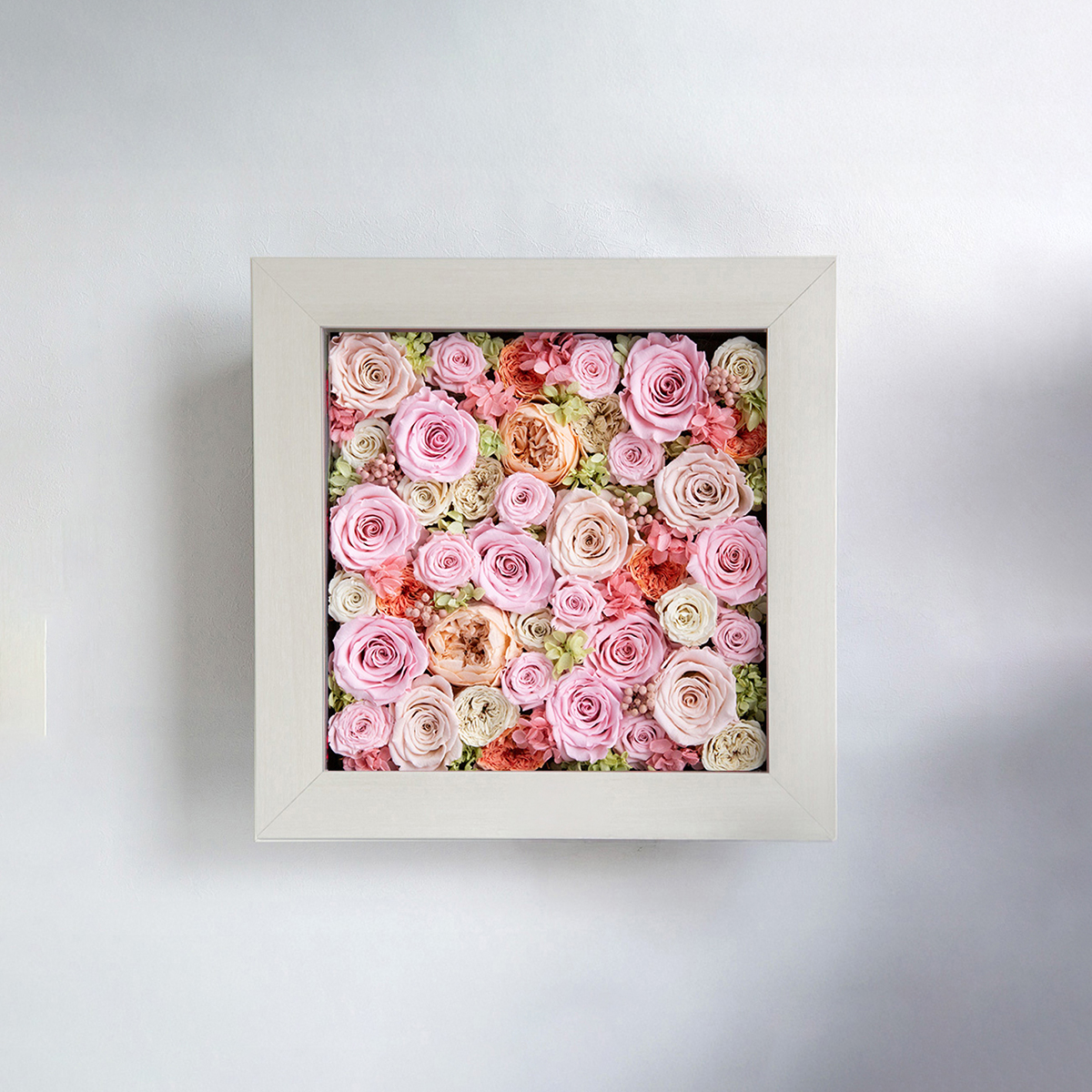 パナッシュ37-37 （ピンク40本）