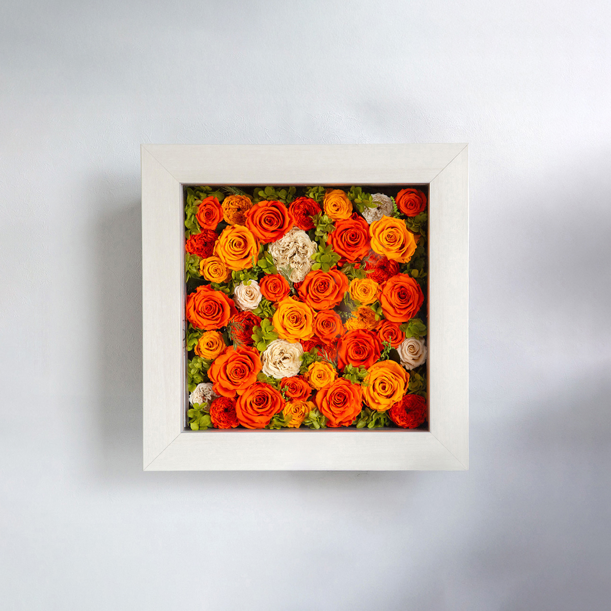 パナッシュ37-37 （オレンジ40本）