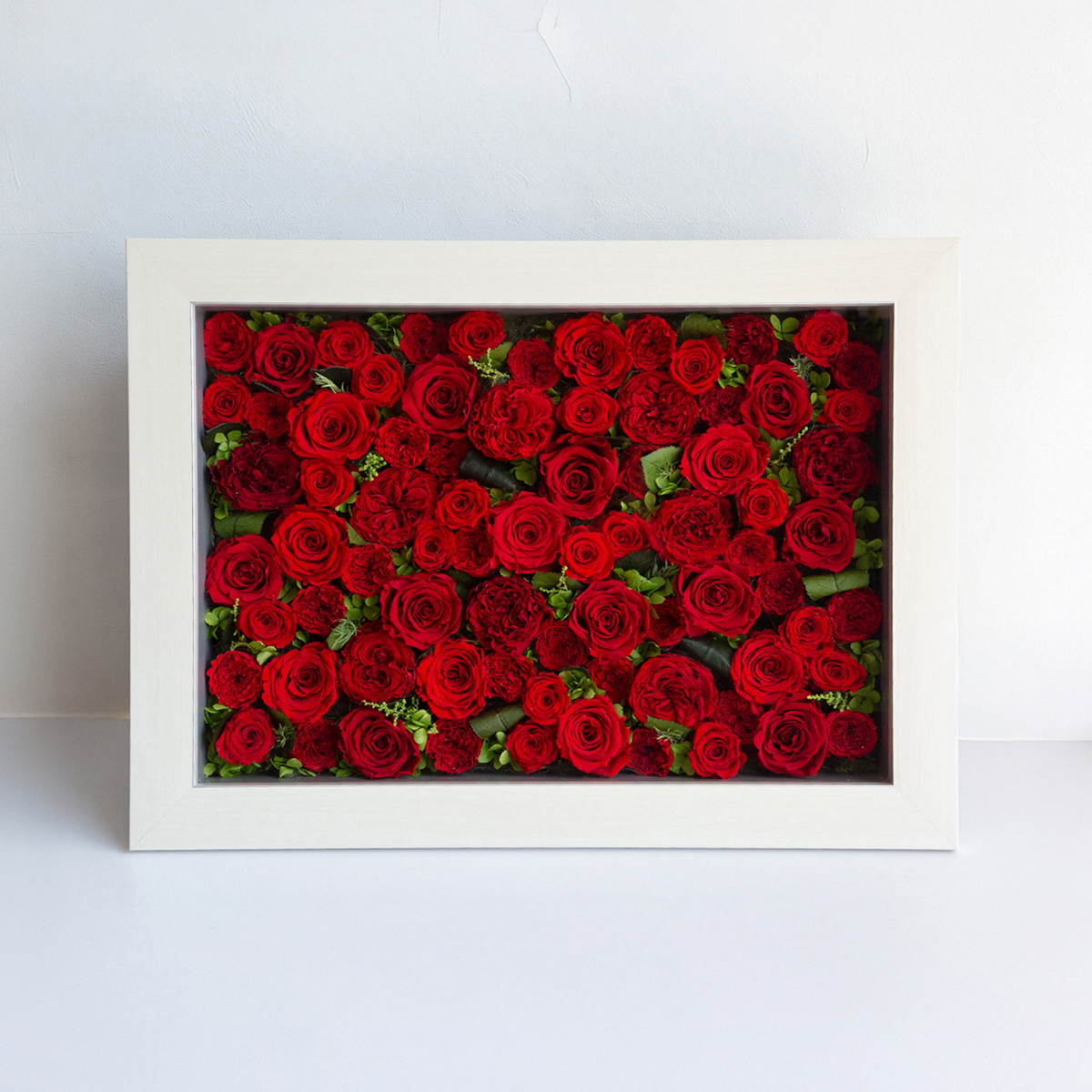 パナッシュ 52-37 （レッド60本 ）