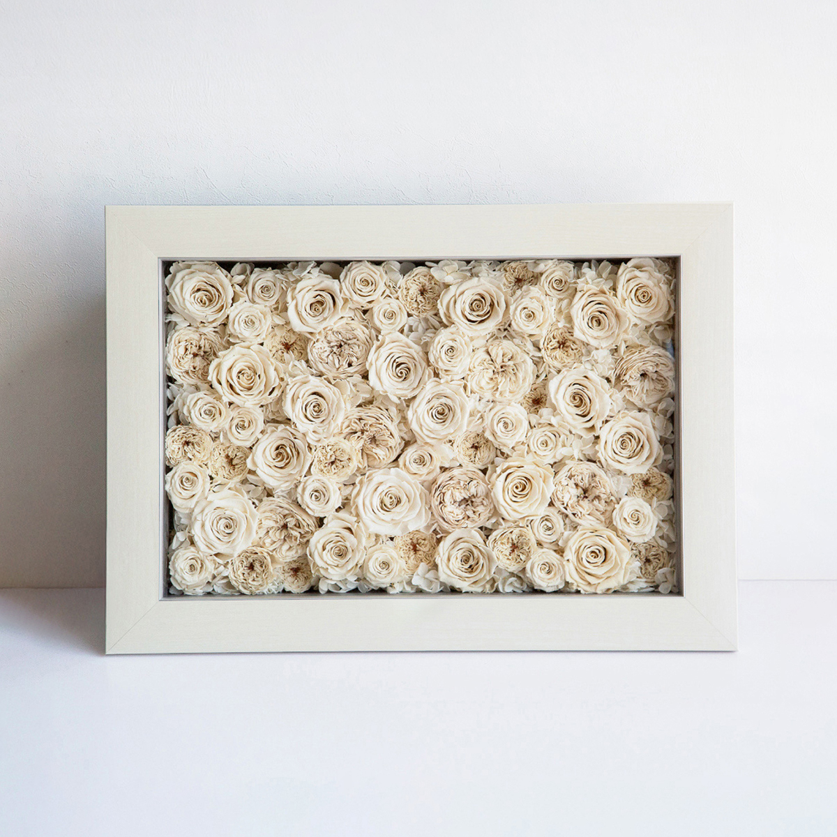 パナッシュ 52-37 （ホワイト60本 ）