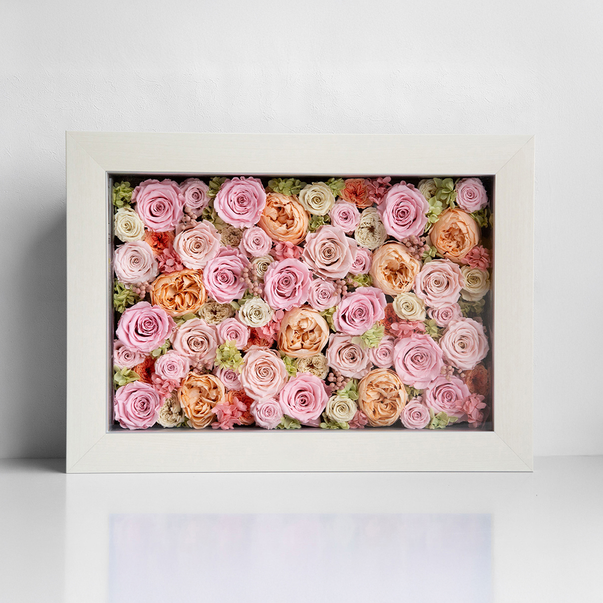 パナッシュ 52-37 （ピンク60本 ）