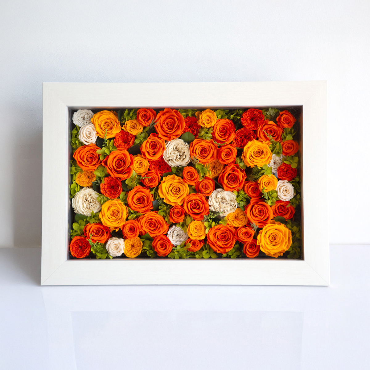 パナッシュ 52-37 （オレンジ60本  ）