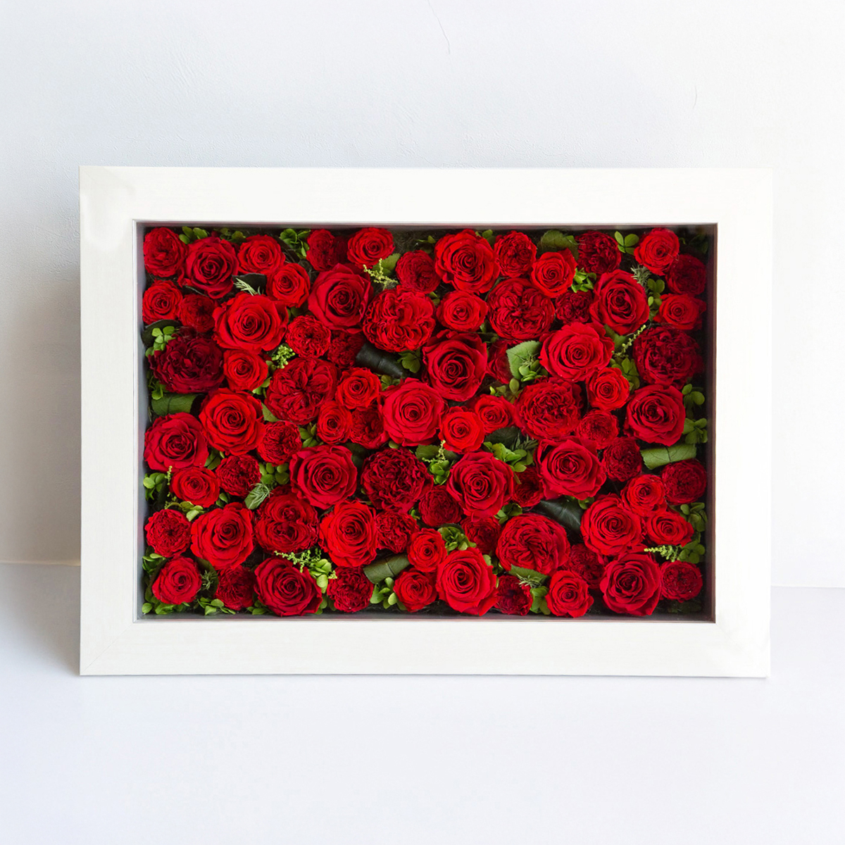 パナッシュ 57-42 （レッド77本）