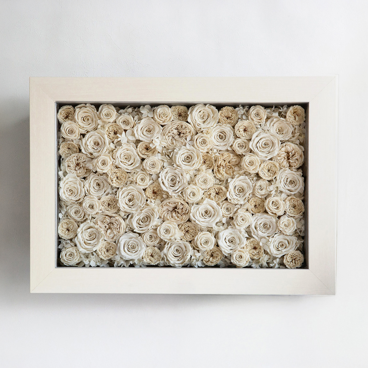 パナッシュ 57-42 （ホワイト77本）