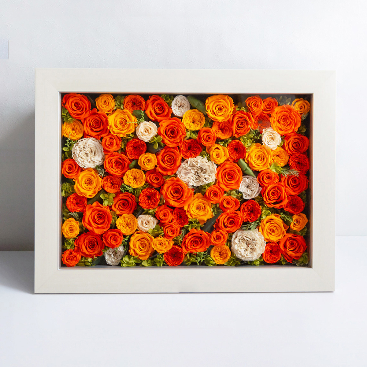 パナッシュ 57-42 （オレンジ77本）