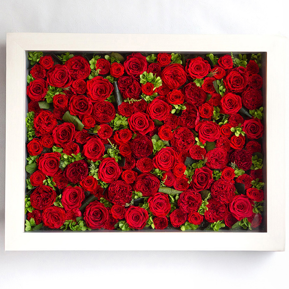 パナッシュ 67-52 （レッド108本）