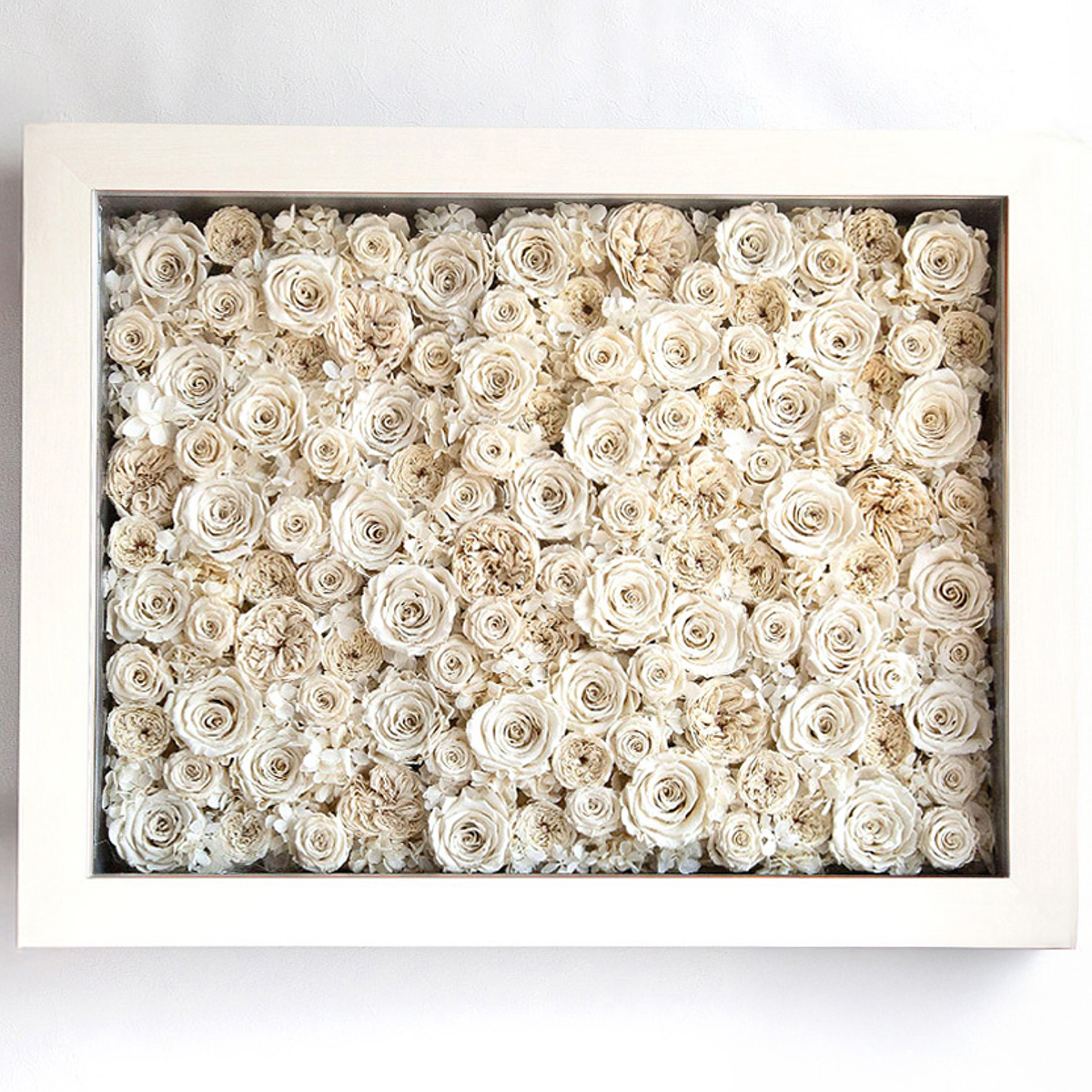 パナッシュ 67-52 （ホワイト108本）