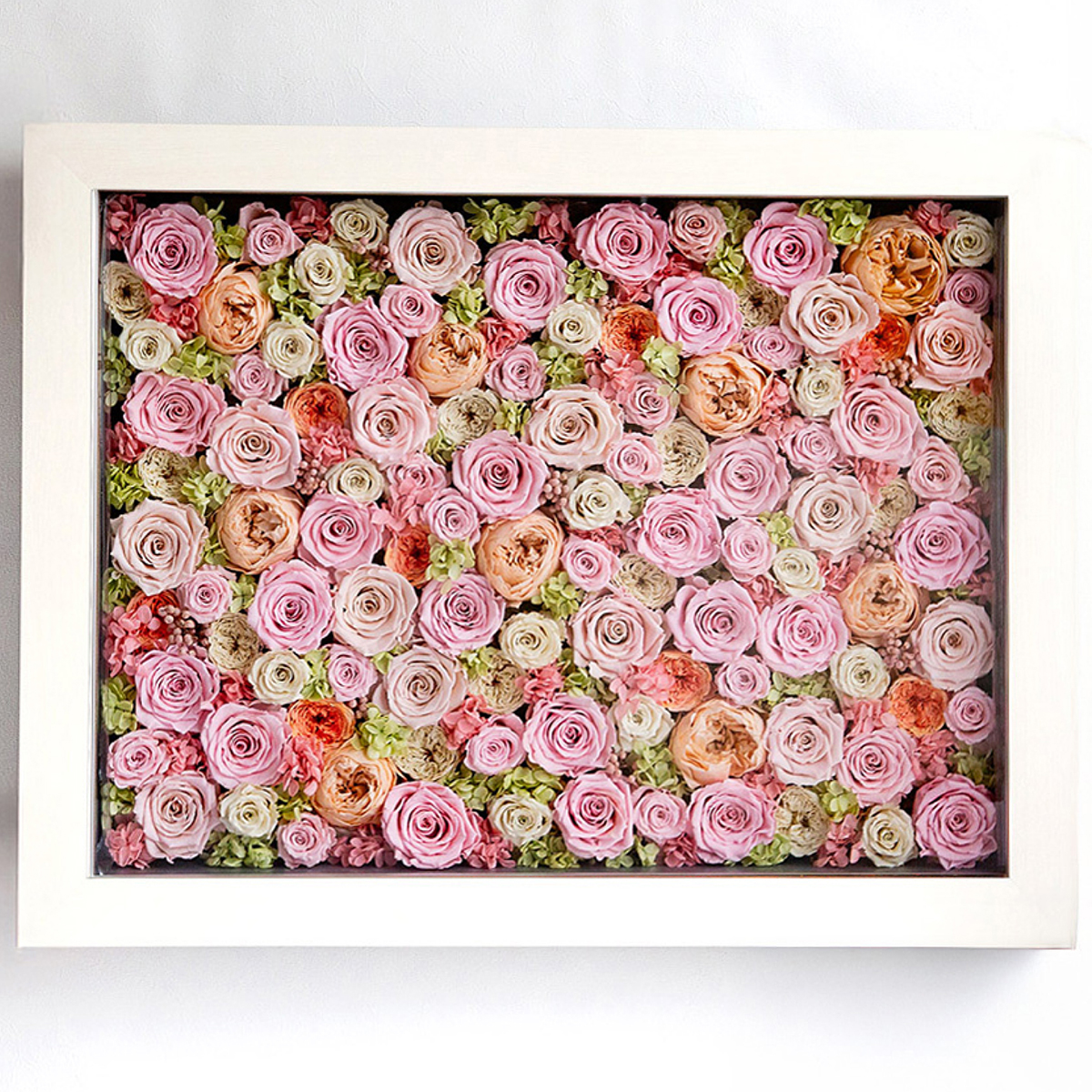 パナッシュ 67-52 （ピンク108本）