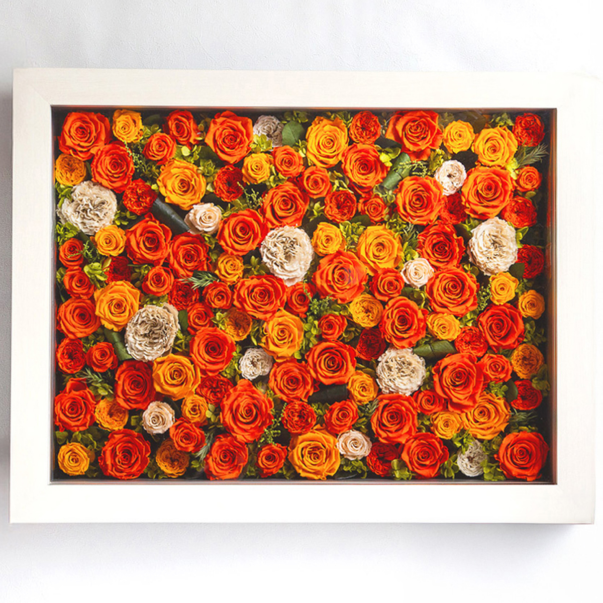 パナッシュ 67-52 （オレンジ108本）