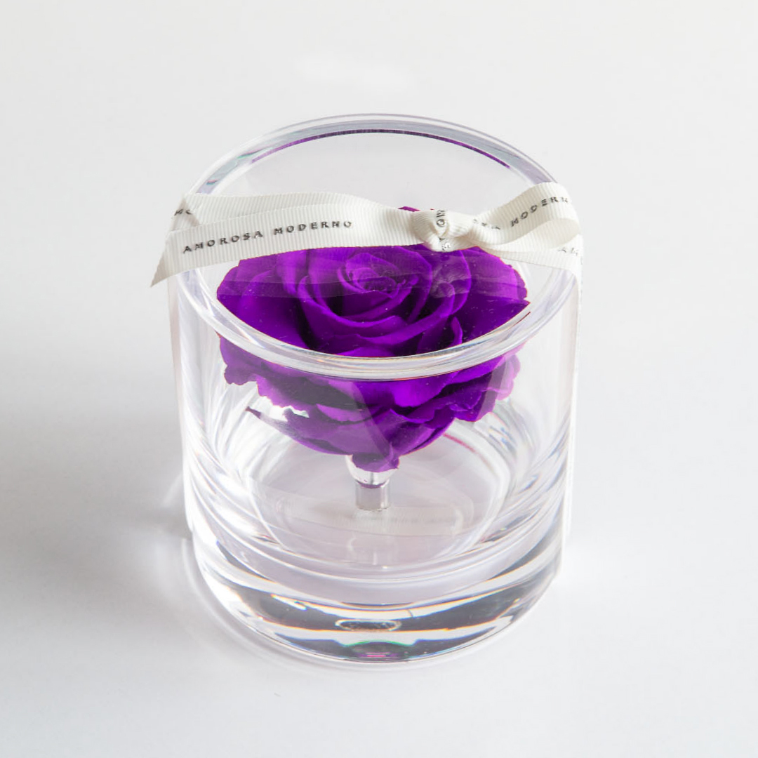 ブリリアント（Ｓ）パープル