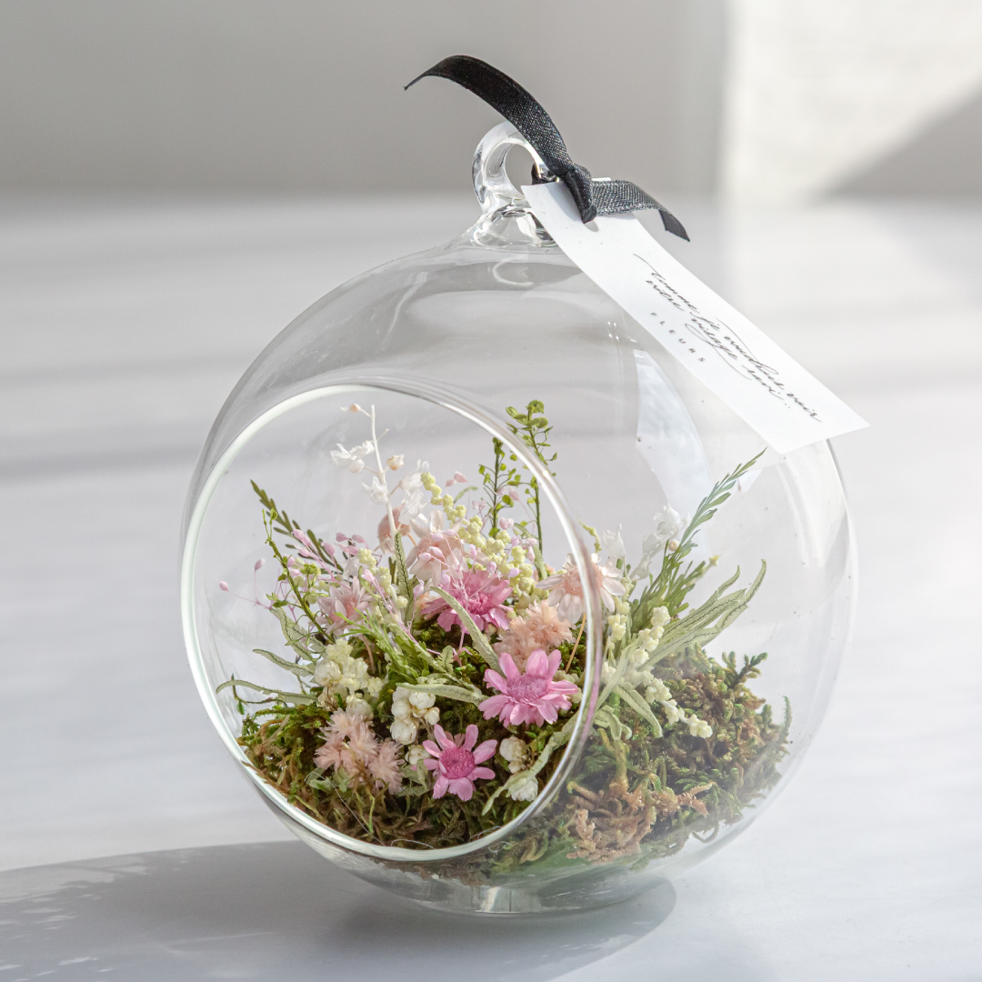 【販売開始4月下旬予定】ラ・ナチュール（コライユ）