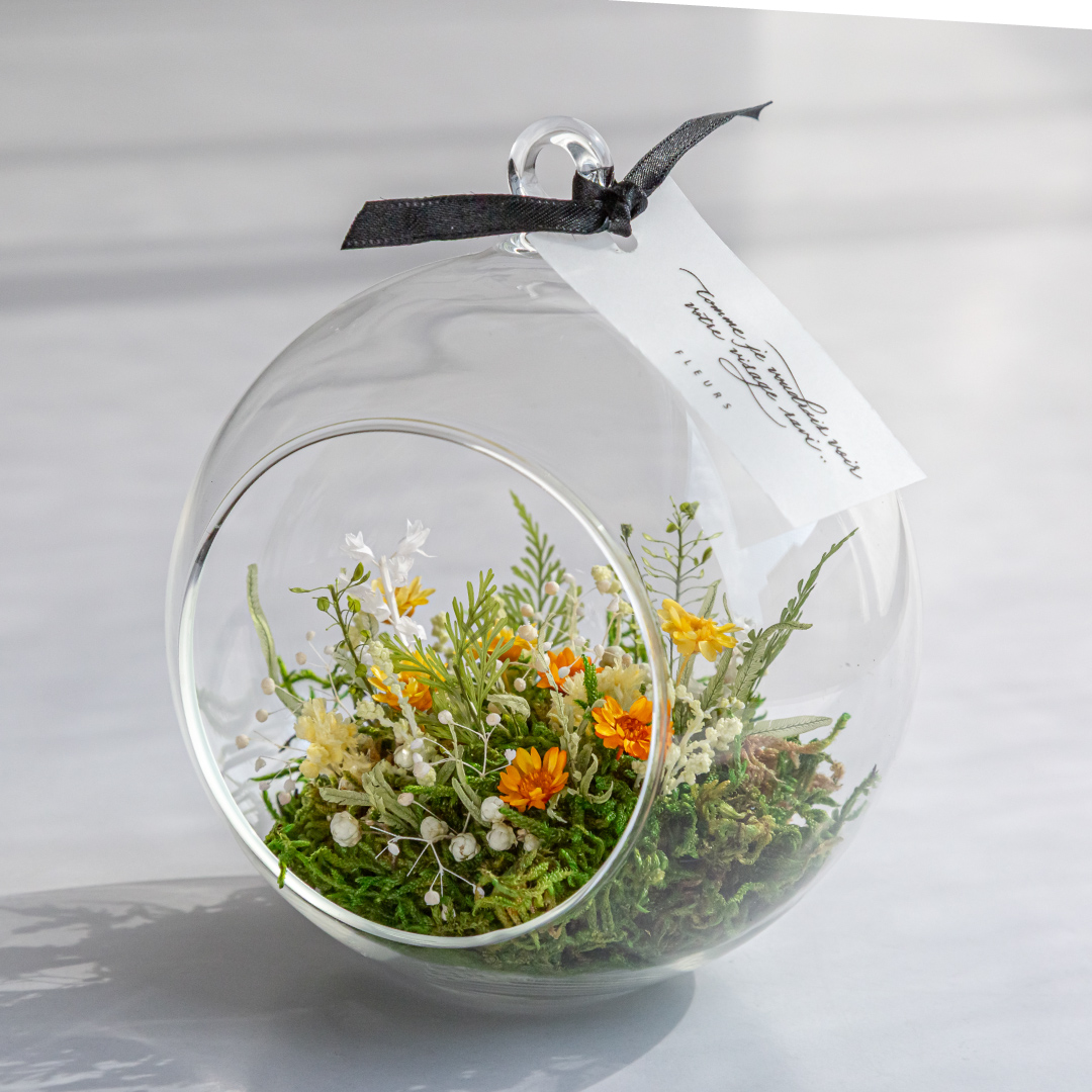 【販売開始4月下旬予定】ラ・ナチュール（オランジュ）