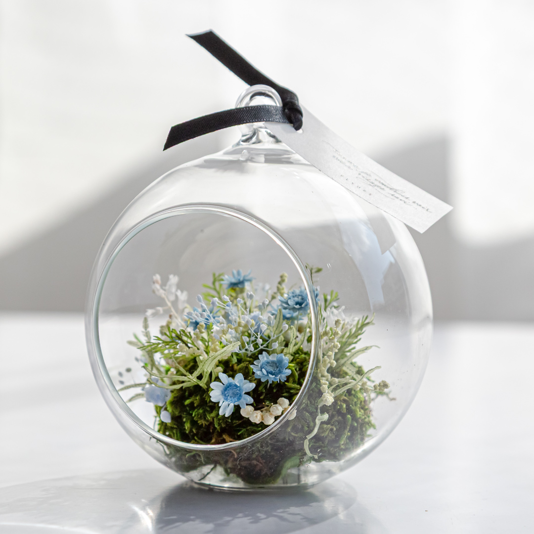 【販売開始4月下旬予定】ラ・ナチュール（ブルー）